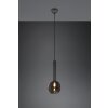 Trio Clayton Hanglamp Zwart, 1-licht