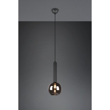 Trio Clayton Hanglamp Zwart, 1-licht