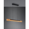 Trio Kerala Hanglamp LED Zwart, 1-licht