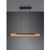 Trio Kerala Hanglamp LED Zwart, 1-licht