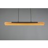 Trio Kerala Hanglamp LED Zwart, 1-licht