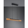 Trio Kerala Hanglamp LED Zwart, 1-licht