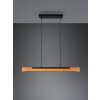 Trio Kerala Hanglamp LED Zwart, 1-licht