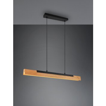 Trio Kerala Hanglamp LED Zwart, 1-licht