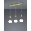 Trio Madison Hanglamp LED Messing, 3-lichts