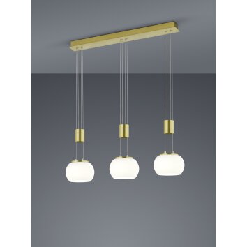 Trio Madison Hanglamp LED Messing, 3-lichts