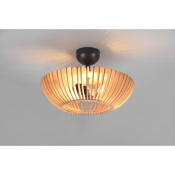 Trio Colino Plafondlamp Antraciet, 2-lichts