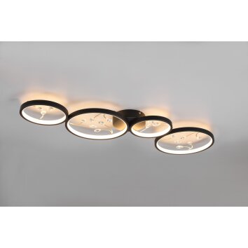 Trio Groovy Plafondlamp LED Zwart, 1-licht