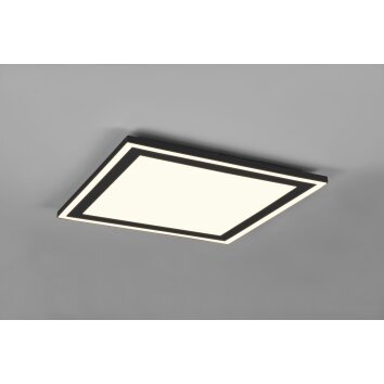 Reality Carus Plafondlamp LED Zwart, 1-licht