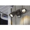 Lutec SHRIMP Buiten muurverlichting LED Zwart, 2-lichts, Bewegingsmelder