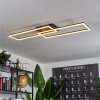 Hyacinthe Plafondlamp LED Zwart, 1-licht, Afstandsbediening