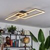 Hyacinthe Plafondlamp LED Zwart, 1-licht, Afstandsbediening