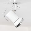 Lanrigan Plafondlamp LED Chroom, Wit, 3-lichts