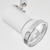 Lanrigan Plafondlamp LED Chroom, Wit, 3-lichts