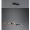 Trio Sequence Hanglamp LED Messing, Zwart, 1-licht