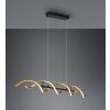 Trio Sequence Hanglamp LED Messing, Zwart, 1-licht