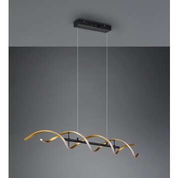 Trio Sequence Hanglamp LED Messing, Zwart, 1-licht