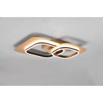 Trio Lugo Plafondlamp LED Zwart-Goud, 1-licht