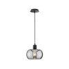 Fischer & Honsel Dima Hanglamp Zwart, 1-licht