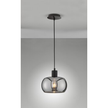 Fischer & Honsel Dima Hanglamp Zwart, 1-licht