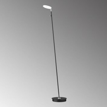 Fischer & Honsel Dent Staande lamp LED Zwart, 1-licht