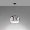 Fischer & Honsel Amos Hanger Zwart, 1-licht