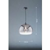 Fischer & Honsel Amos Hanger Zwart, 1-licht