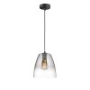 Fischer & Honsel Miro Hanger Zwart, 1-licht