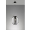 Fischer & Honsel Regi Hanglamp Zwart, 1-licht