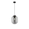 Fischer & Honsel Regi Hanglamp Zwart, 1-licht