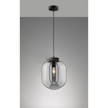 Fischer & Honsel Regi Hanglamp Zwart, 1-licht