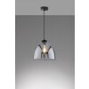 Fischer & Honsel Ren Hanglamp Zwart, 1-licht