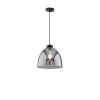 Fischer & Honsel Ren Hanglamp Zwart, 1-licht