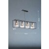 Fischer & Honsel Samu Hanglamp Zwart, 4-lichts