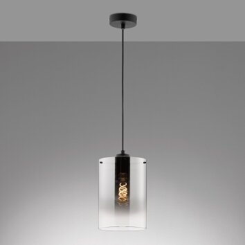 Fischer & Honsel Samu Hanglamp Zwart, 1-licht