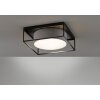 Fischer & Honsel Carre Plafondlamp Zwart, 3-lichts