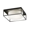 Fischer & Honsel Carre Plafondlamp Zwart, 3-lichts