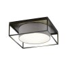 Fischer & Honsel Carre Plafondlamp Zwart, 3-lichts