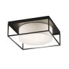 Fischer & Honsel Carre Plafondlamp Zwart, 4-lichts