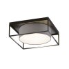 Fischer & Honsel Carre Plafondlamp Zwart, 4-lichts