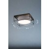 Fischer & Honsel Carre Plafondlamp Zwart, 4-lichts