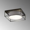 Fischer & Honsel Carre Plafondlamp Zwart, 4-lichts