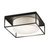 Fischer & Honsel Carre Plafondlamp Zwart, 3-lichts