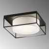 Fischer & Honsel Carre Plafondlamp Zwart, 3-lichts