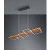 Trio Harper Hanglamp LED Zwart, 1-licht