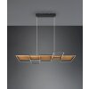 Trio Harper Hanglamp LED Zwart, 1-licht