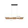 Trio Harper Hanglamp LED Zwart, 1-licht