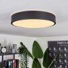 Samaira Plafondlamp LED Zwart, 1-licht