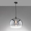 Fischer & Honsel Amos Hanger Zwart, 1-licht