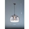 Fischer & Honsel Amos Hanger Zwart, 1-licht